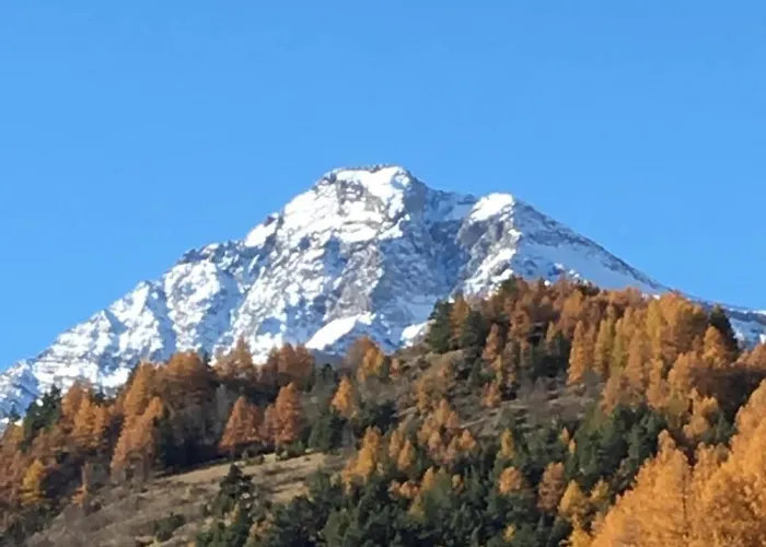 Croix Blanche Daire *